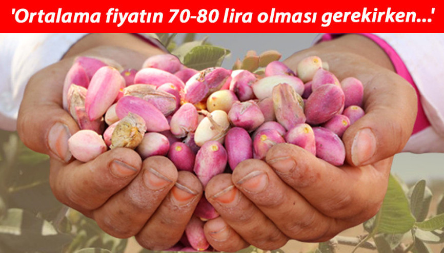 Antep fıstığında rekolte düştü Tarlada 28, tezgahta 120 TL...