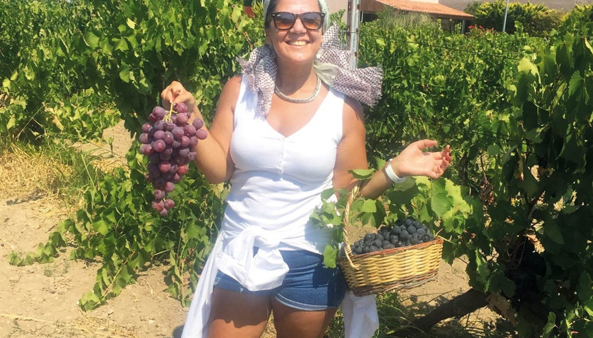 Bağbozumu da engel tanımaz Bağbozumu da engel tanımaz