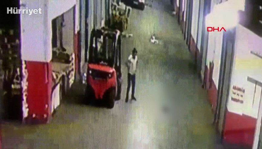 Bayrampaşada yavru kediyi tekmeleyerek öldüren cani kamerada Bayrampaşada yavru kediyi tekmeleyerek öldüren cani kamerada