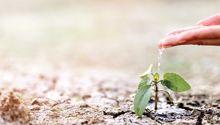 Prof. Dr. Türkeş: Üretim planında coğrafya eksik