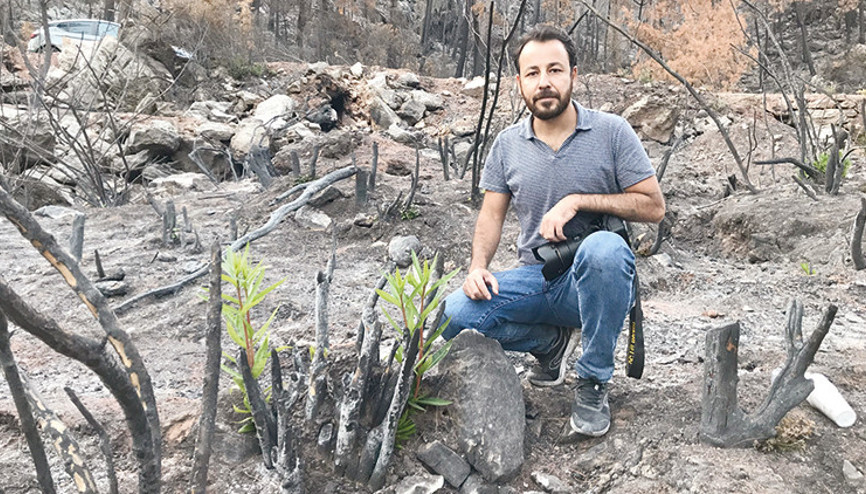 Yanan ormanlar kendilerini böyle yeniliyor: 1 ayda 1.5 metre