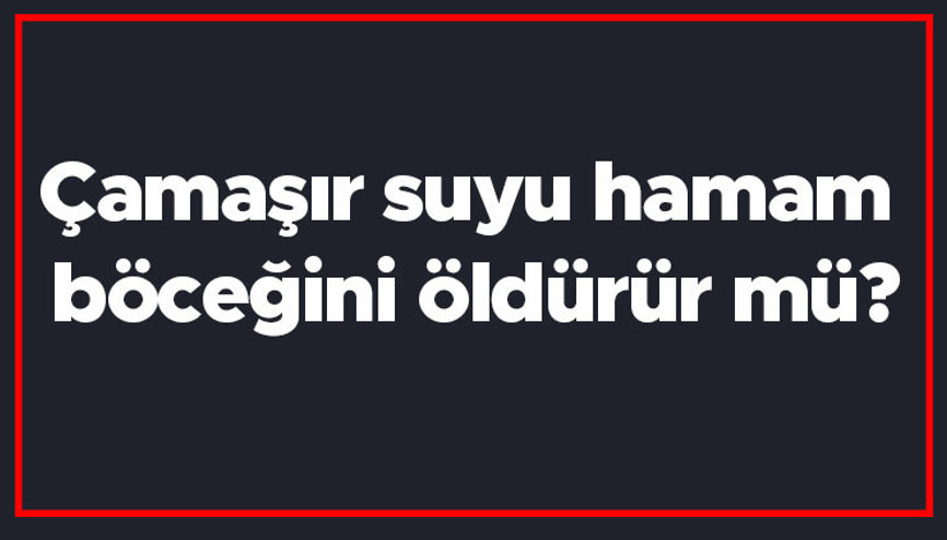 Çamaşır suyu hamam böceğini öldürür mü Hamam böceklerini öldürmek için kullanılabilir mi