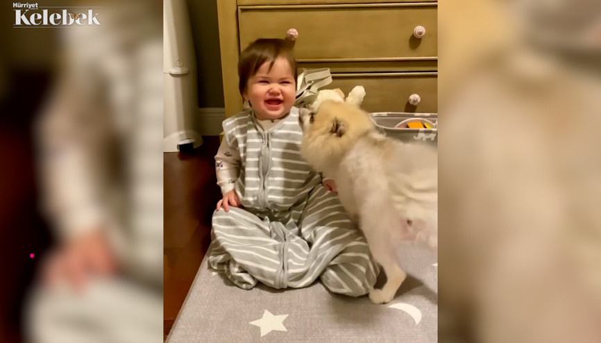 Ceyda Ateşİn kızı Talia gülme krizine girdi