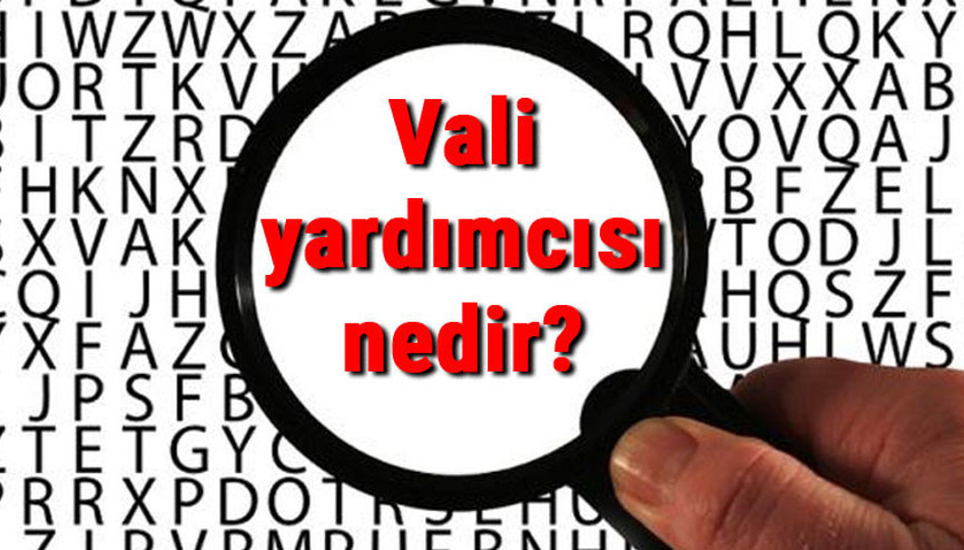 Vali yardımcısı nedir, ne iş yapar ve nasıl olunur Vali yardımcısı olma şartları ve maaşları