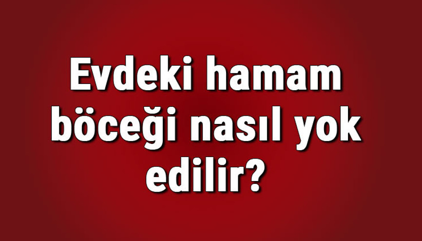 Evdeki hamam böceği nasıl yok edilir, yuvası nasıl bulunur Hamam böcekleri eve nereden girer