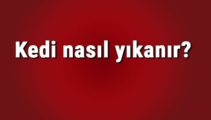 Kedi nasıl yıkanır Kedi normal su ve şampuanla yıkanır mı Kedi nasıl yıkanır Kedi normal su ve şampuanla yıkanır mı