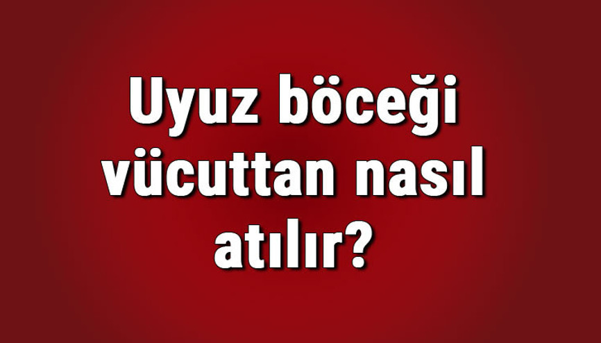 Uyuz böceği vücuttan nasıl atılır Uzun ne kadar sürede geçer