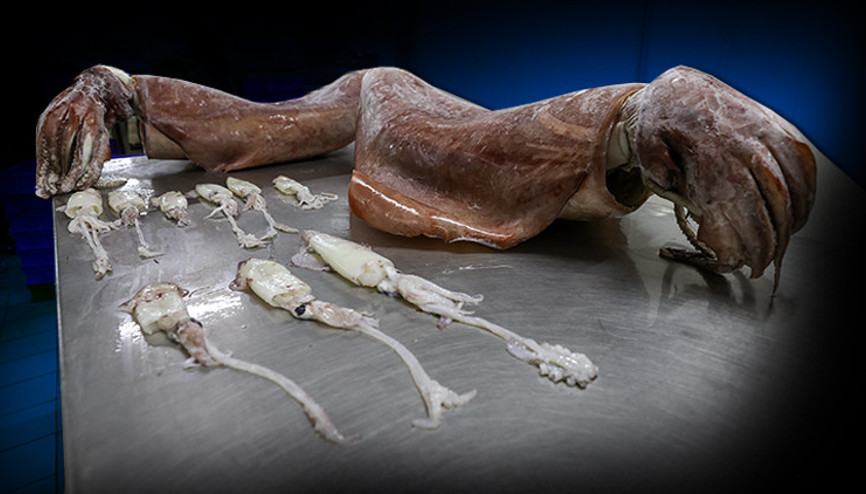 İzmir açıklarında yakalandı İzmir açıklarında yakalandı