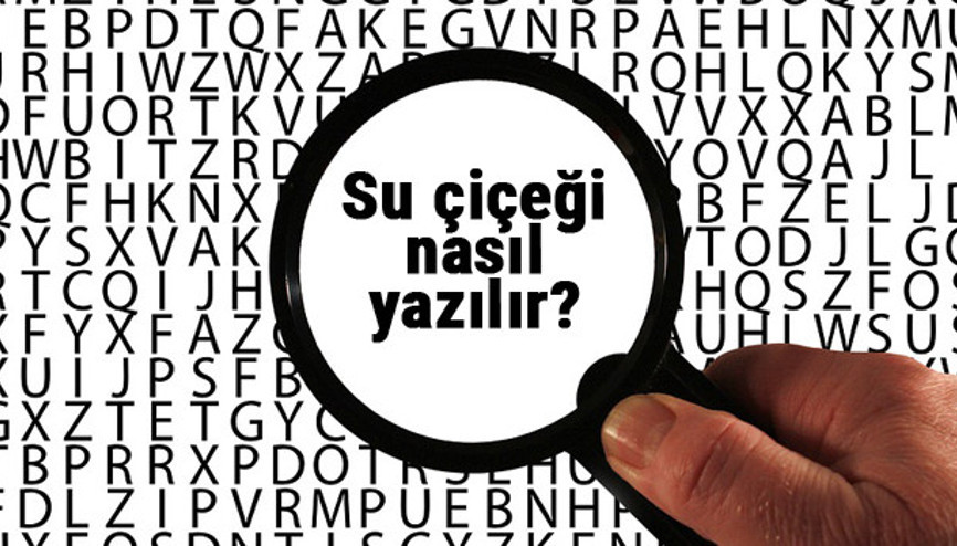 Su çiçeği nasıl yazılır TDKya göre bitişik mi ayrı mı yazılır Su çiçeği kelimesinin doğru yazımı...