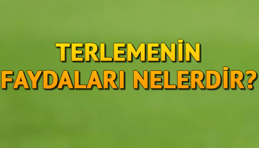 Terlemenin Faydaları Nelerdir Ter Atmak Ne İşe Yarar, Hangi Hastalıklara İyi Gelir Terlemenin Faydaları Nelerdir Ter Atmak Ne İşe Yarar, Hangi Hastalıklara İyi Gelir