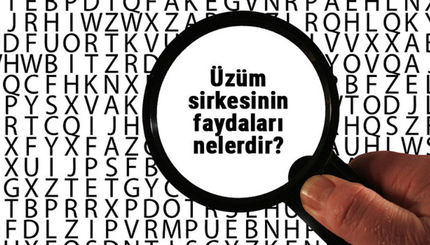 Üzüm sirkesinin faydaları nelerdir, ne işe yarar Üzüm sirkesi hangi hastalıklara iyi gelir... İşte detaylar