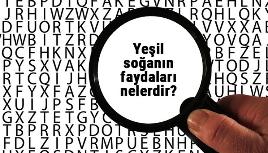 Yeşil soğanın faydaları nelerdir, hangi hastalıklara iyi gelir Çiğ soğan yemenin faydaları nelerdir Yeşil soğanın faydaları nelerdir, hangi hastalıklara iyi gelir Çiğ soğan yemenin faydaları nelerdir