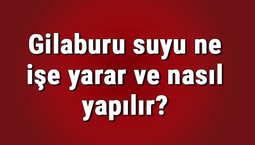 Gilaburu suyu ne işe yarar ve nasıl yapılır Gilaburu suyunun faydaları nelerdir ve böbrek taşı düşürür mü