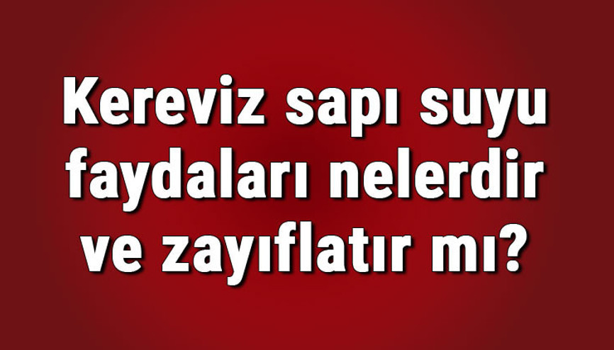 Kereviz sapı suyu faydaları nelerdir ve zayıflatır mı Kereviz sapı suyunun cilde faydaları ve neye iyi gelir