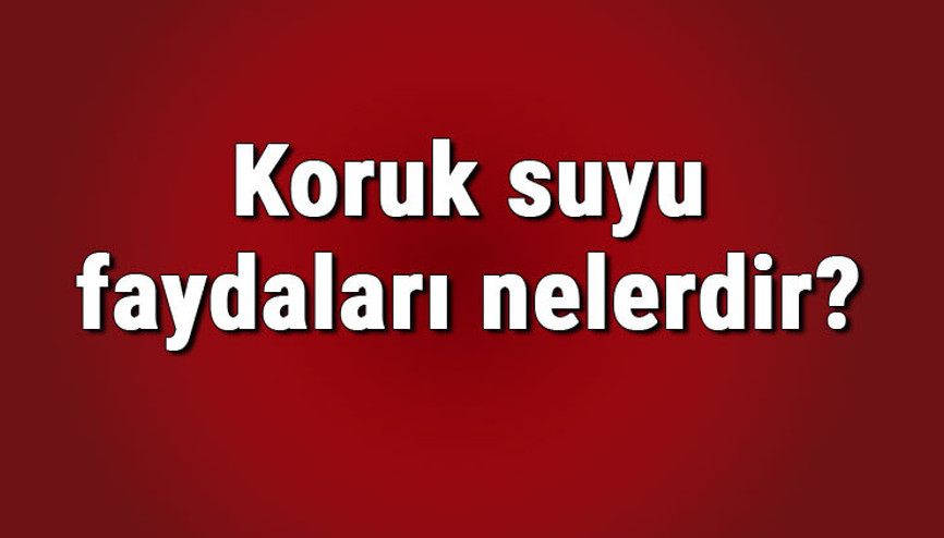 Koruk suyu faydaları nelerdir ve neye iyi gelir Koruk suyu içmenin cilde ve yüze faydaları