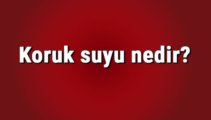Koruk suyu nedir, nasıl yapılır ve saklanır Koruk suyu tarifi ve yapımı