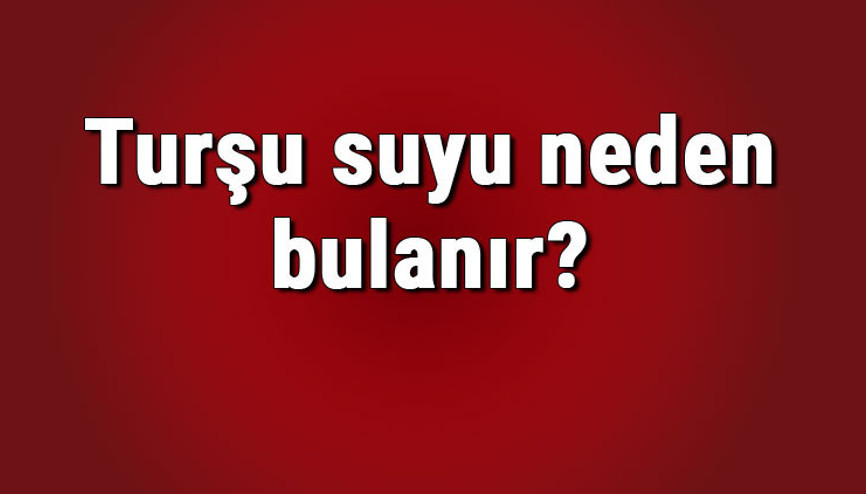 Turşu suyu neden bulanır, beyazlar ve kararır Turşu suyu neden sümüksü yapıya döner Turşu suyu neden bulanır, beyazlar ve kararır Turşu suyu neden sümüksü yapıya döner