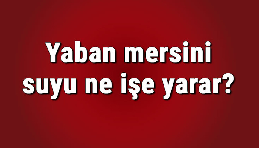 Yaban mersini suyu ne işe yarar ve nasıl yapılır Yaban mersini suyunun saça ve cilde faydaları Yaban mersini suyu ne işe yarar ve nasıl yapılır Yaban mersini suyunun saça ve cilde faydaları