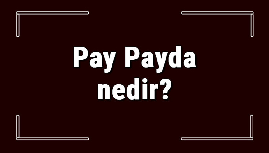 Pay Payda nedir ve yerleri neresidir Pay Payda hesaplama ve ilişkisi konu anlatımı