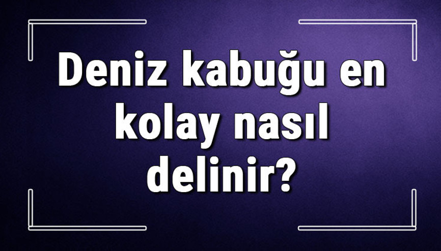 Deniz kabuğu en kolay nasıl delinir Deniz kabuğu kokusu nasıl giderilir