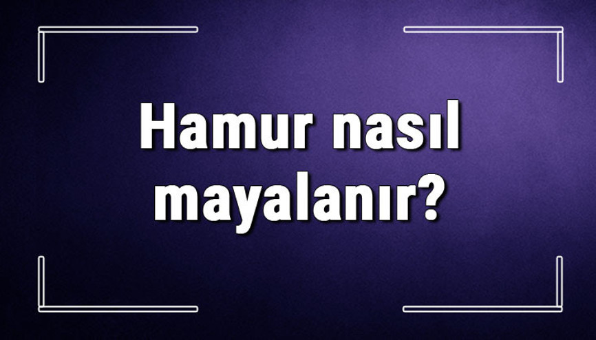 Hamur nasıl mayalanır Kuru maya ile hamur nasıl yapılır En güzel mayalı hamur yapımı..