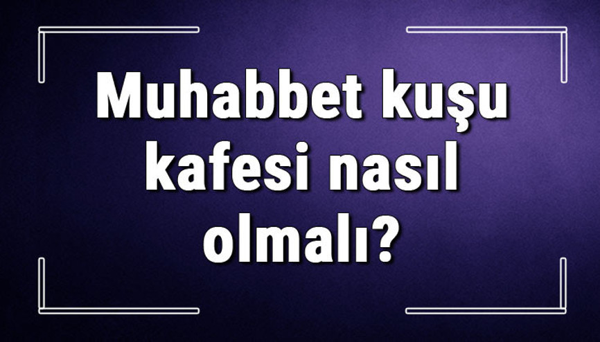 Muhabbet kuşu kafesi nasıl olmalı Muhabbet kuşu kafesi yüksekliği ne kadar olmalı, kafes örtülür mü