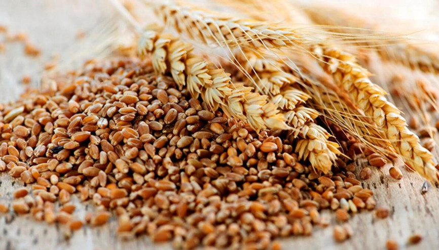 Tam buğday unu besin değerleri: 100 gr tam buğday unu kaç kalori Protein ve karbonhidrat değerleri..