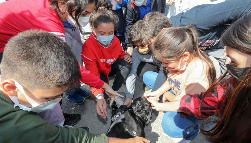 ‘İyi misin can dostum’ ziyaretleri