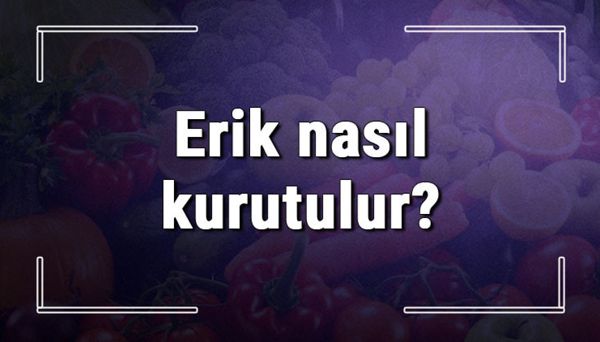 Erik nasıl kurutulur Çekirdekli siyah, sarı ve yeşil bütün eriği fırında ve farklı kurutma yöntemleri