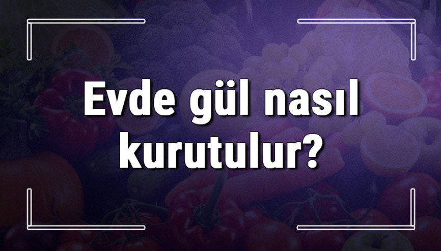 Evde gül nasıl kurutulur ve saklanır Kışın ya da yazın kutuda tomurcuk ile buket gül yaprakları kurutma
