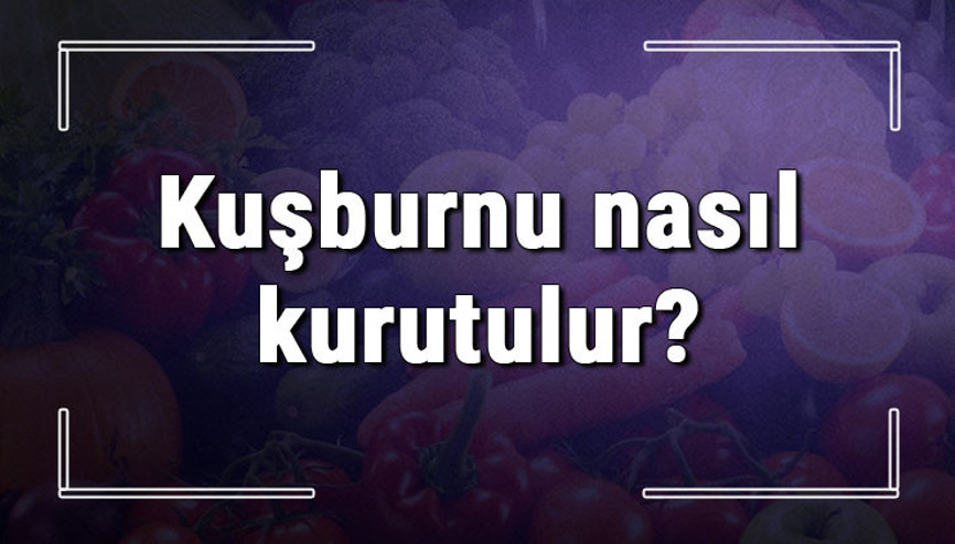 Kuşburnu nasıl kurutulur Taze kuşburnunu güneşte ve fırında kurutma yöntemleri