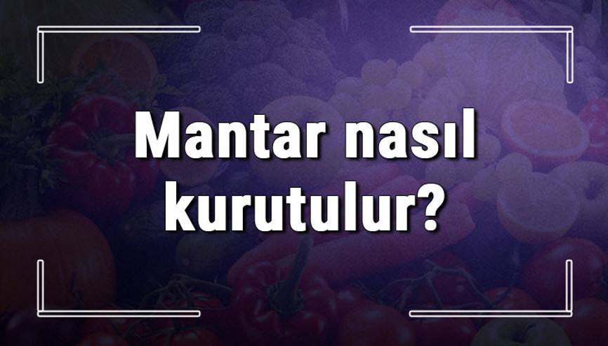 Mantar nasıl kurutulur Evde fırında ve güneşte kültür, sinek ve porçini ile kanlıca mantarı kurutma Mantar nasıl kurutulur Evde fırında ve güneşte kültür, sinek ve porçini ile kanlıca mantarı kurutma