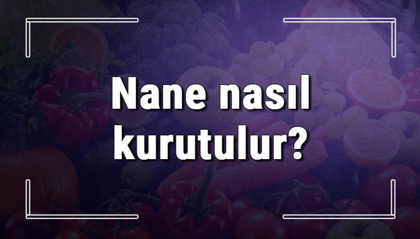 Nane nasıl kurutulur ve saklanır Fırında ve mikrodalgada kolay nane kurutma ipuçları
