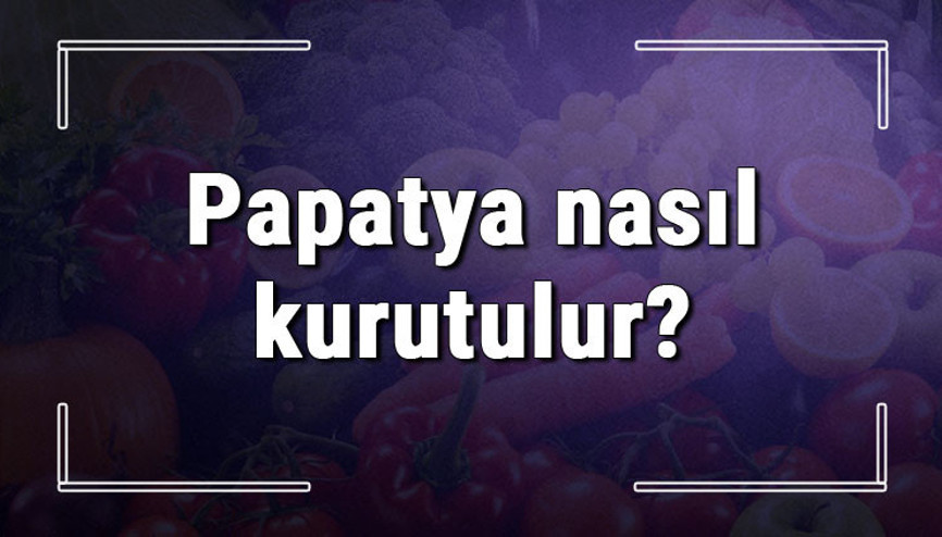 Papatya nasıl kurutulur Papatya çiçeği ve buketini bozulmadan kurutma yöntemleri