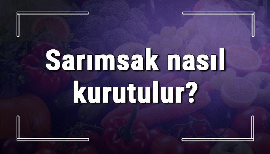 Sarımsak nasıl kurutulur ve saklanır Evde taze baş, yaş ve yeşil sarımsak kurutma ipuçları Sarımsak nasıl kurutulur ve saklanır Evde taze baş, yaş ve yeşil sarımsak kurutma ipuçları