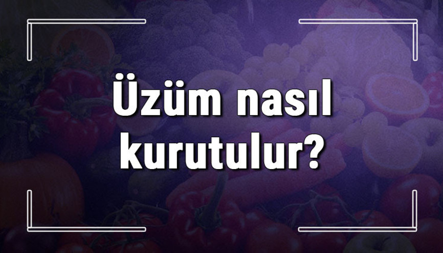 Yaş ağaç nasıl kurutulur İstenmeyen ağaç kökü kurutma yöntemleri