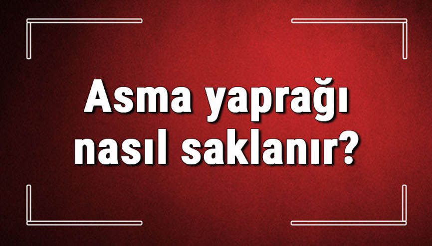 Asma yaprağı nasıl saklanır Salamura yaprak kaç yıl saklanır