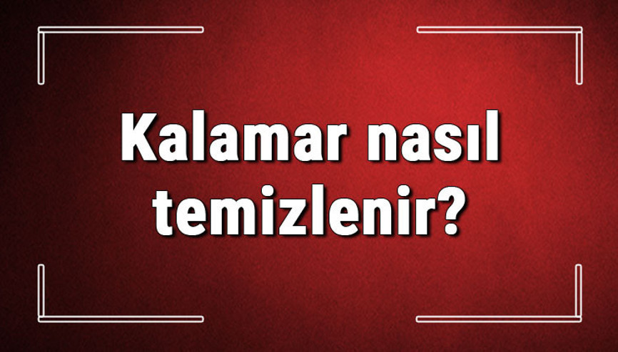 Kalamar nasıl temizlenir Yerli kalamar nasıl yıkanır, nasıl saklanır Kalamar nasıl temizlenir Yerli kalamar nasıl yıkanır, nasıl saklanır