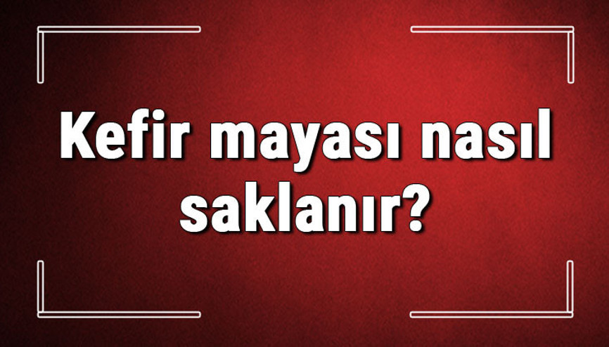 Kefir mayası nasıl saklanır Mayalanmış kefir buzdolabında kaç gün saklanır Kefir mayası nasıl saklanır Mayalanmış kefir buzdolabında kaç gün saklanır