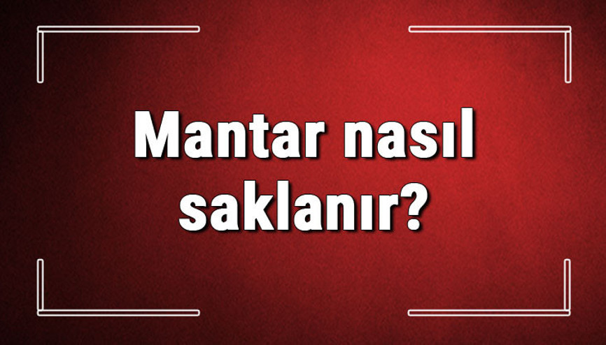 Mantar nasıl saklanır, nasıl muhafaza edilir Mantar dondurucuda ve buzdolabında kaç gün saklanır Mantar nasıl saklanır, nasıl muhafaza edilir Mantar dondurucuda ve buzdolabında kaç gün saklanır