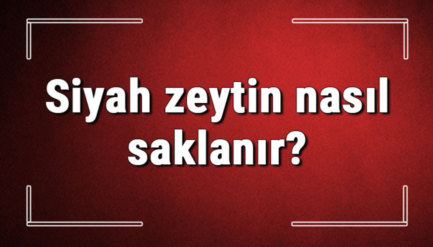 Siyah zeytin nasıl saklanır Siyah zeytin küflenmemesi için ne yapılır, nasıl muhafaza edilir
