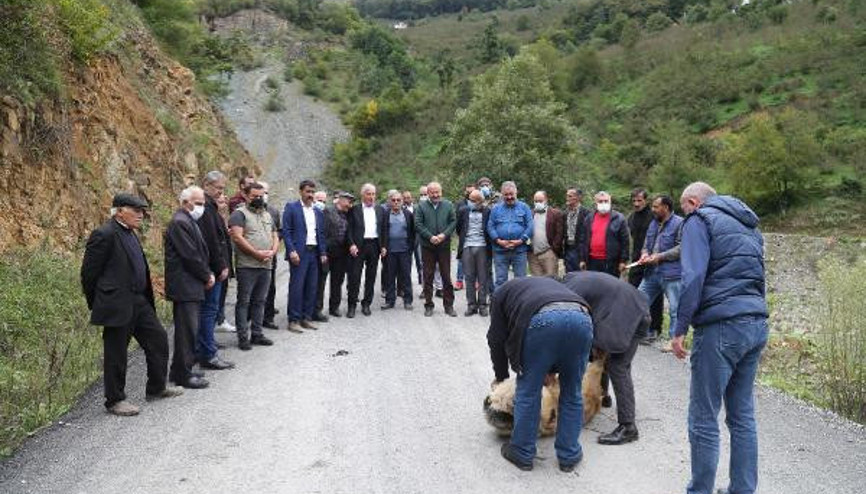 Orduda yol hayalleri gerçekleşen vatandaşlar, kurban kesti Orduda yol hayalleri gerçekleşen vatandaşlar, kurban kesti