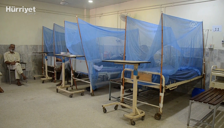 Pakistanda dang humması vakalarında artış