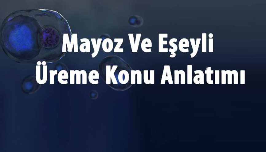 Mayoz Ve Eşeyli Üreme Konu Anlatımı