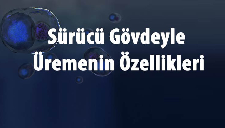 Sürünücü Gövde İle Üreme Nedir, Hangi Bitkilerde Ve Canlılarda Görülür Sürücü Gövdeyle Üremenin Özellikleri