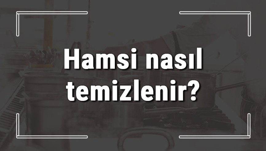 Hamsi nasıl temizlenir Hamsi sirke ile yıkanır mı En kolay nasıl yıkanır Hamsi nasıl temizlenir Hamsi sirke ile yıkanır mı En kolay nasıl yıkanır