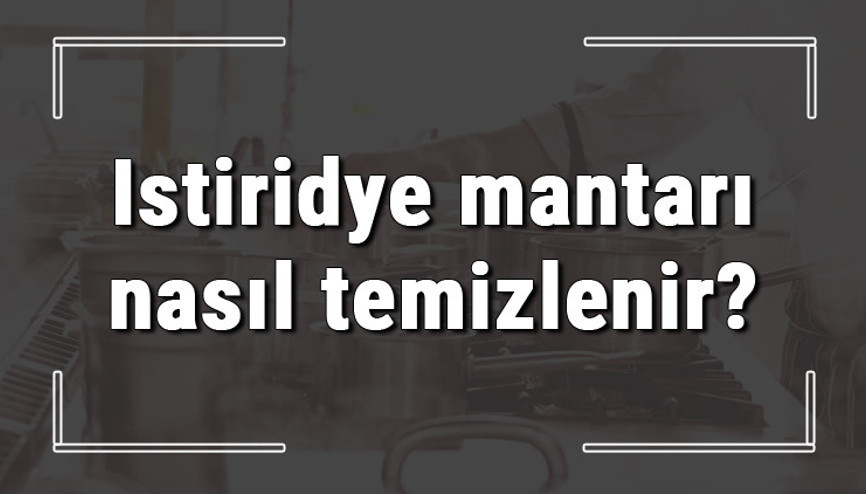 Istiridye mantarı nasıl temizlenir Nasıl pişirilir İstridye mantar kavurma nasıl yapılır