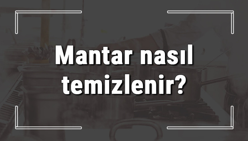 Mantar nasıl temizlenir Mantar yıkanır mı, kültür mantarı nasıl temizlenmeli Mantar nasıl temizlenir Mantar yıkanır mı, kültür mantarı nasıl temizlenmeli