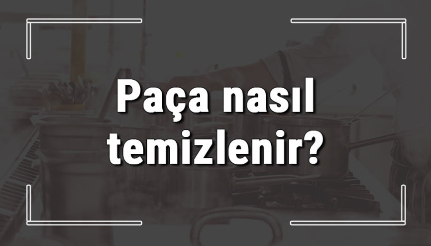 Paça nasıl temizlenir Kelle paça kolayca nasıl temizlenir
