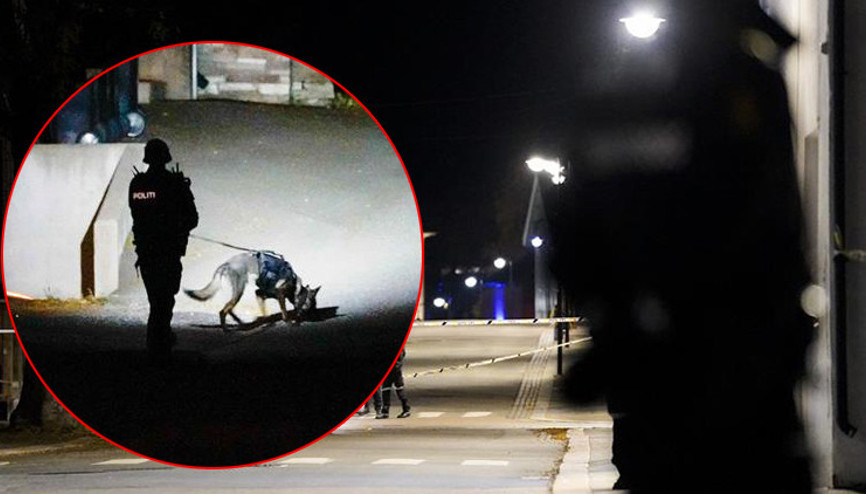 Son dakika: Norveçte oklu saldırgan dehşeti